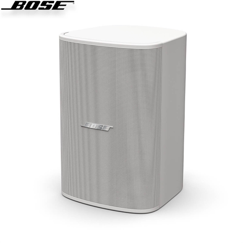 Loa Bose DesignMax DM5SE 2